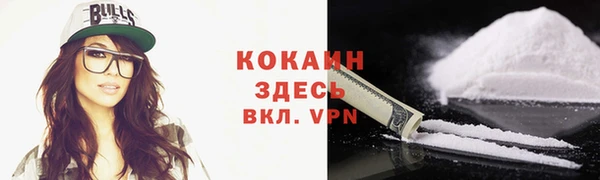 тгк Бикин