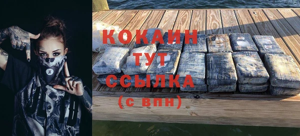 тгк Бикин