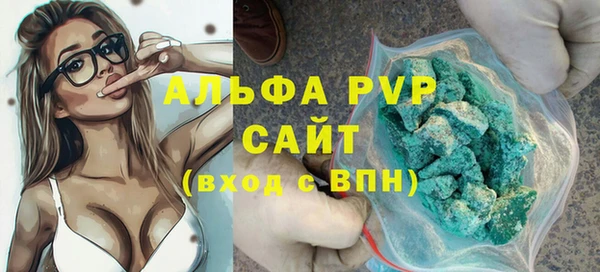 тгк Бикин