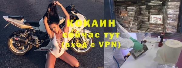 тгк Бикин