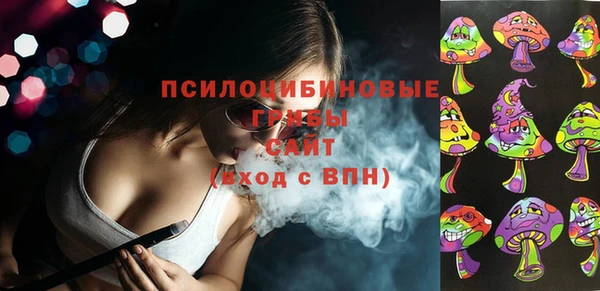 тгк Бикин