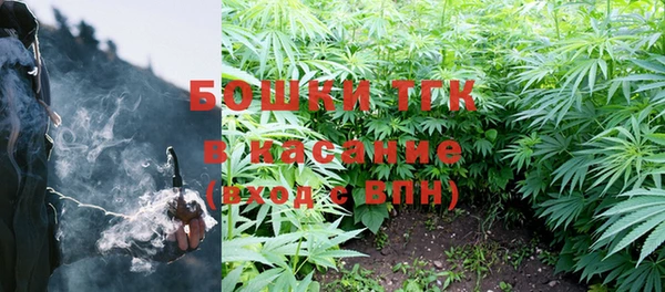 тгк Бикин
