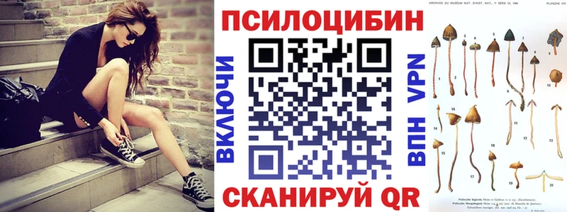 Псилоцибиновые грибы GOLDEN TEACHER  Канск 
