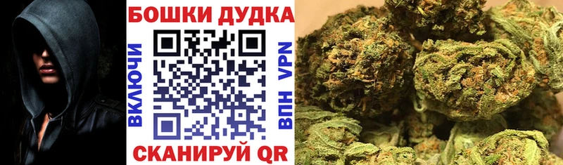 кракен ссылки  наркотики  Канск  Конопля планчик 